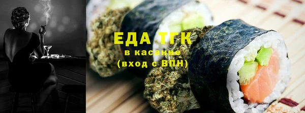 индика Алзамай