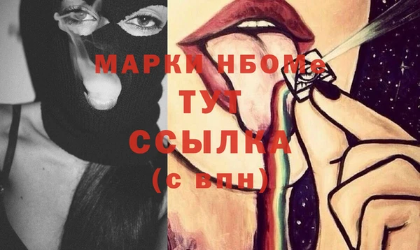 индика Алзамай