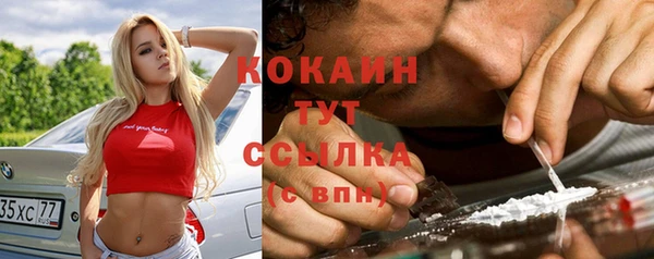 индика Алзамай