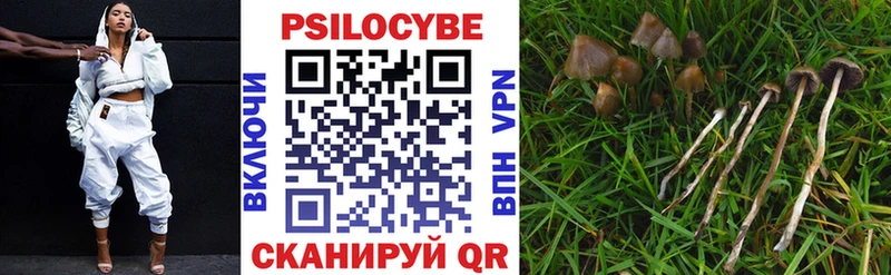 что такое   Златоуст  Псилоцибиновые грибы прущие грибы 